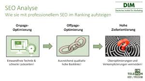 seo website analyse