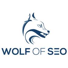 seo agentur erfurt