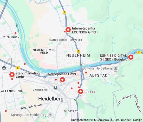 suchmaschinenoptimierung heidelberg