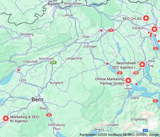 seo agentur schweiz