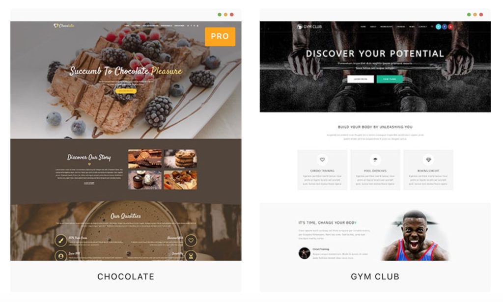 wordpress website erstellen lassen preise