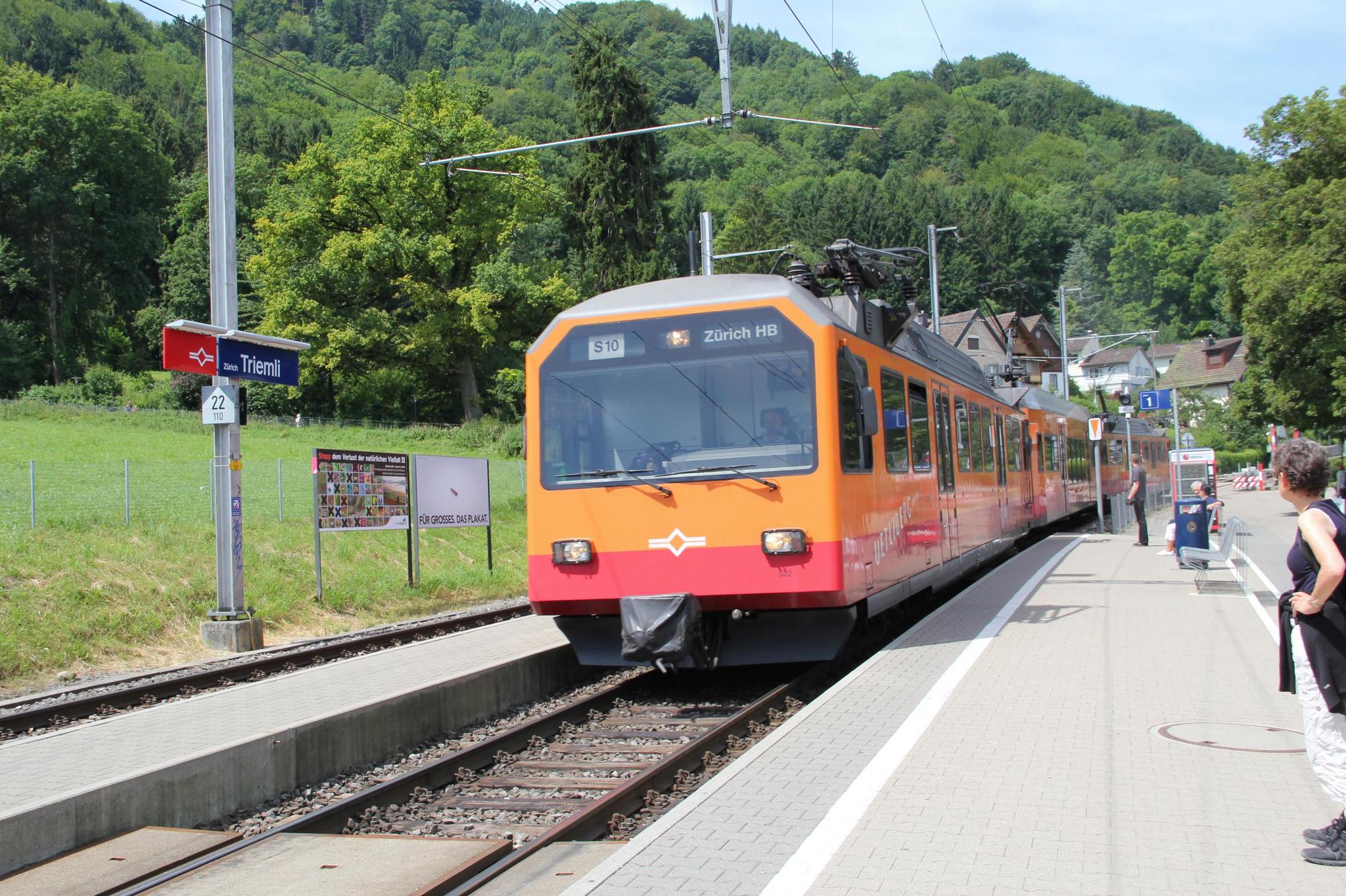 seo zug
